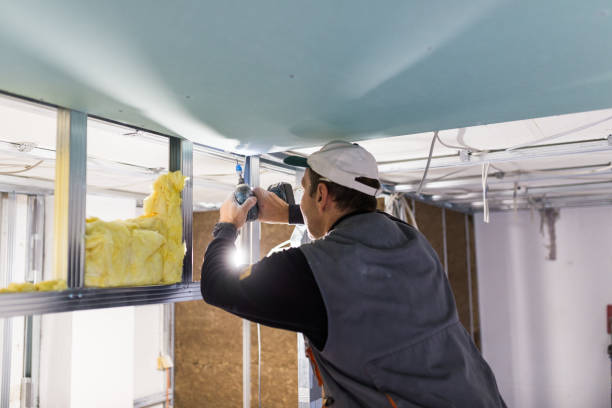 Best Geographic-Specific Insulation Services in Oberlin, LA