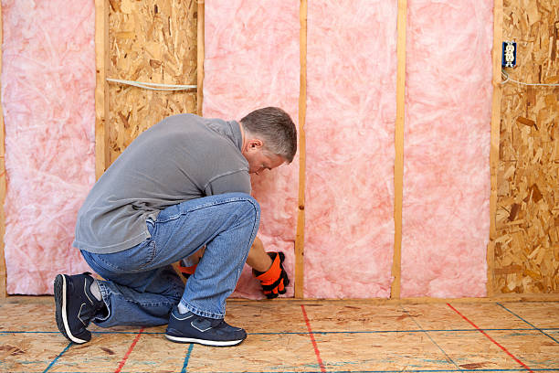 Best Cellulose Insulation in Oberlin, LA