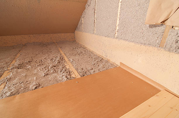 Best Eco-Friendly Insulation in Oberlin, LA